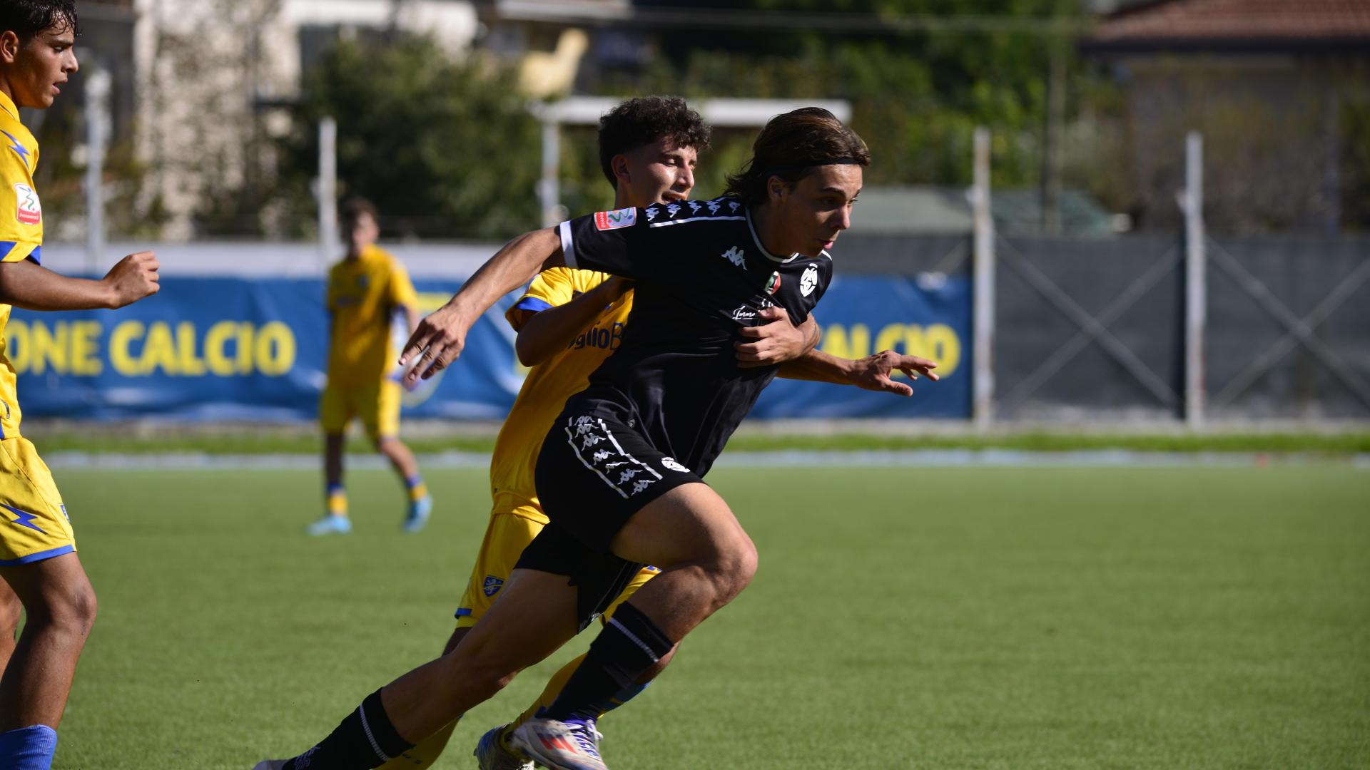 Leonardo Franchetti Rosada alla Vis Pesaro